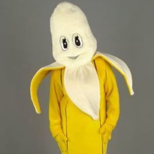 Meet your Posher, Ann